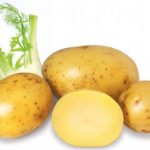 8 Lý do nên ăn khoai tây trong bữa ăn hằng ngày